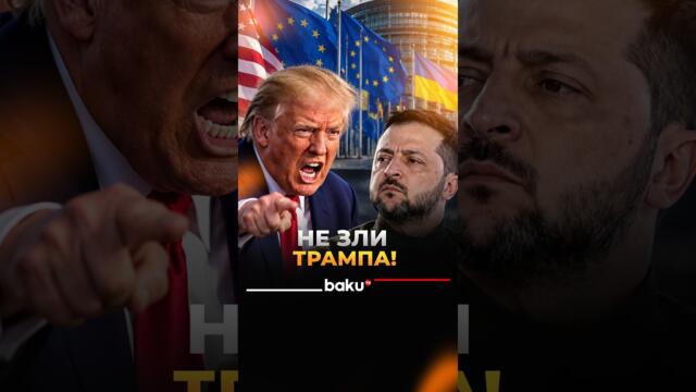 Лидеры ЕС планируют призвать Зеленского перестать злить Трампа
