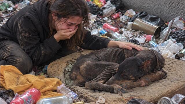 A Doberman was dumped in a landfill—left to die with no one to help... It was a heartbreaking sight!