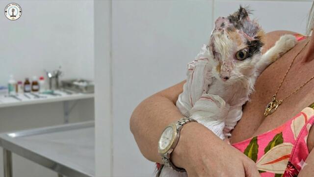 Vet said 'No hope!' — She proved she was always worthy of a second chance.