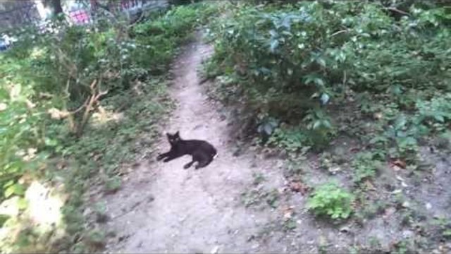 8 MP camera камера на on  Samsung Galaxy S 2