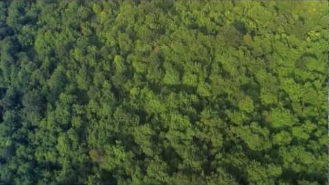 ''Това е България" - ''В ритъма на сезоните'' - трейлър