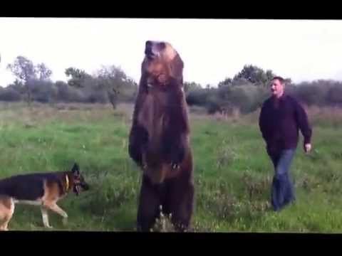 Уникално видео взриви световната мрежа и стана хит!