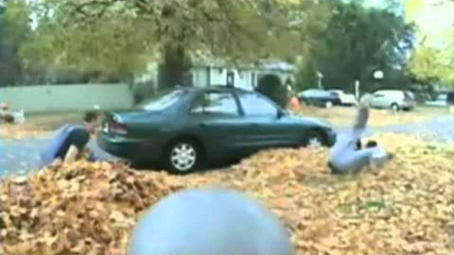 Забавни инциденти