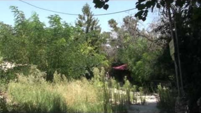 Варна свлачището на Трифон Зарезан 2