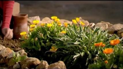 Опасна красота Епизод 1 (Бг. аудио)