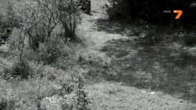 Шменти Капели: Легендата ep6