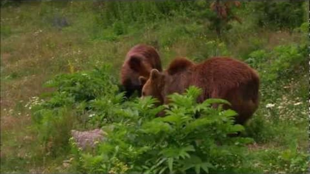 България - През дивите Балкани | Bulgarien - Durch den wilden Balkan