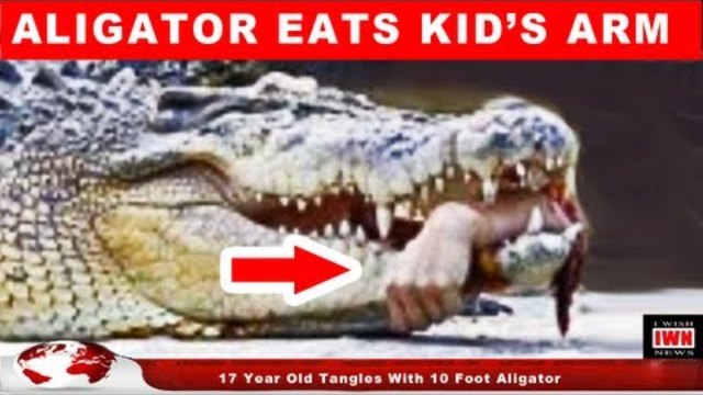 Това се случи само за няколко секунди нападнат от алигатор .