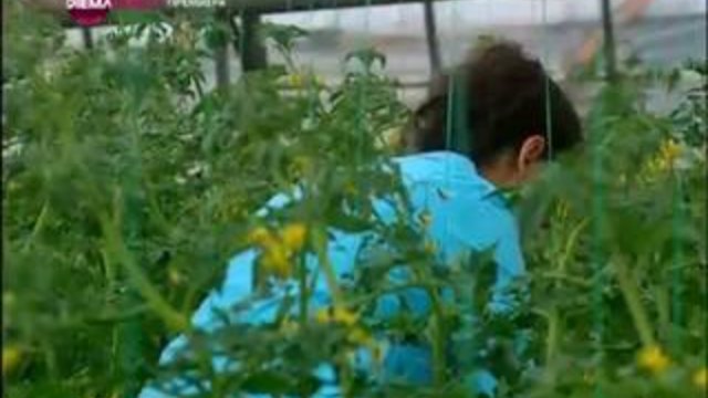 Голямата лъжа - еп.33