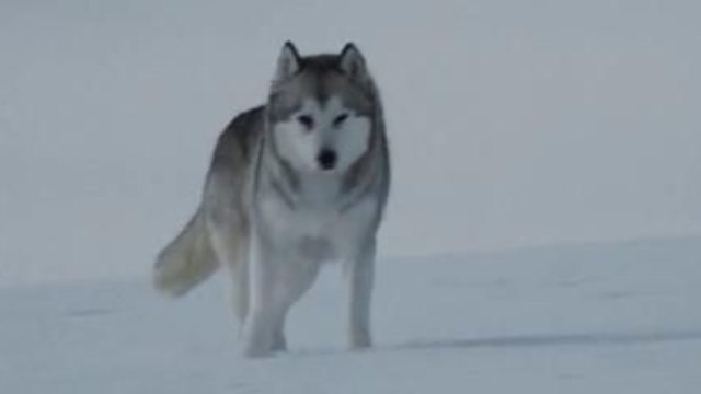 Осем герои - Бг Аудио -Част 2