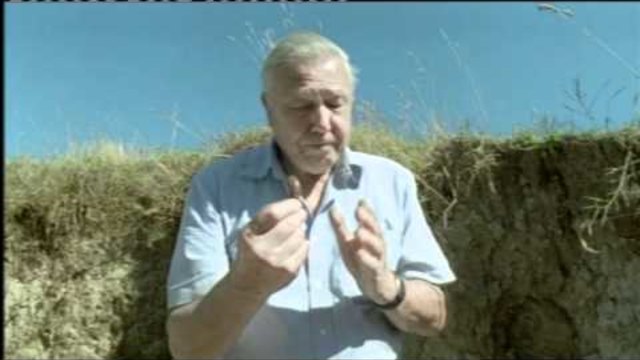 Най-гнусният рекорд, който ще обикнете (ВИДЕО)