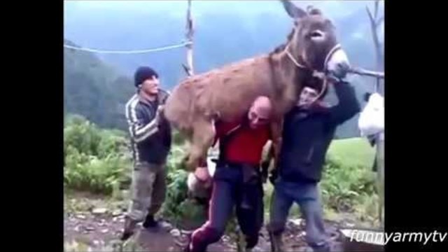 AMAZING FAIL / WIN COMPILATION OF JANUARY  || BEST FUNNY