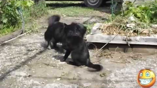 Epic Fail Compilation January 2014 Ultimate Fails Compilation 2014