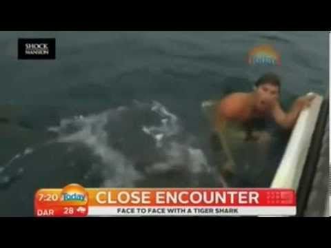 Мъж влезе при една от най-опасните акули с клетка за птици (ВИДЕО)