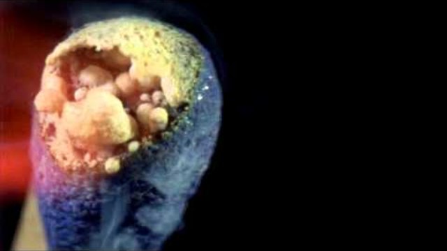 Изумителният начин, по който изгаря клечка кибрит на забавен каданс (ВИДЕО)