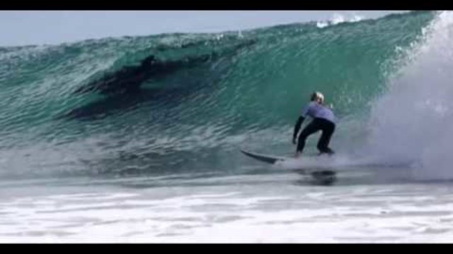 Атракция! Делфини на състезание по сърф (ВИДЕО)