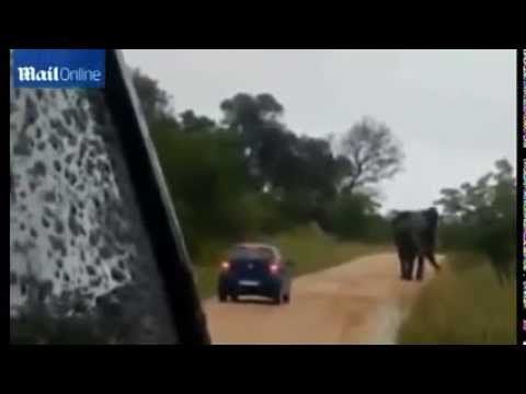 Това е най-ужасяващото преживяване (ВИДЕО)