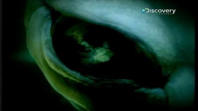 Необяснимо Епизод 5