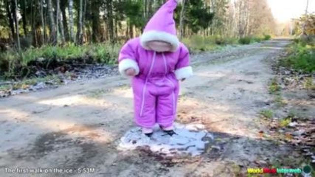 The 50 Best Viral Videos Of 2013 / Топ 50 вирусни клипове на 2013г.