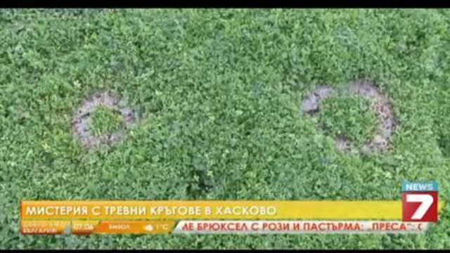 Мистериозни кръгове изскочиха и в Ябълково