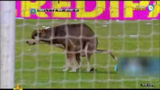 27.02.2014 ГОСПОДАРИ НА ЕФИРА : : ИЗ СПОРТЕН СВЯТ : : МНОГО СМЯХ