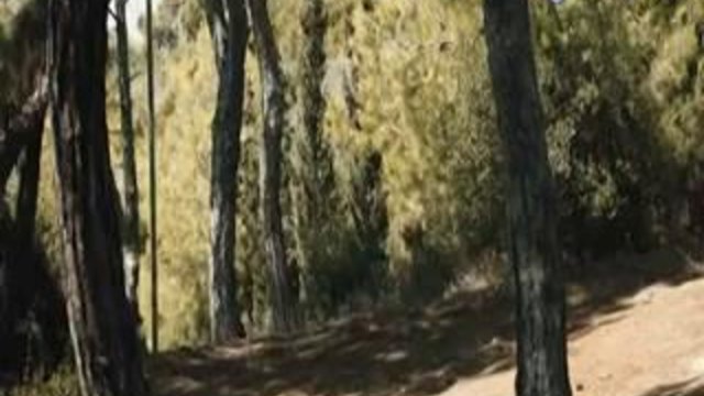 Сънят на пеперудата - 3 част (bg subs 2013).mp4