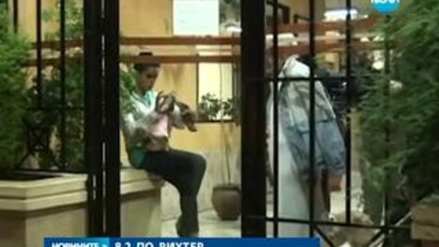 Земетресение с магнитуд 8,2 разлюля бреговете на Чили