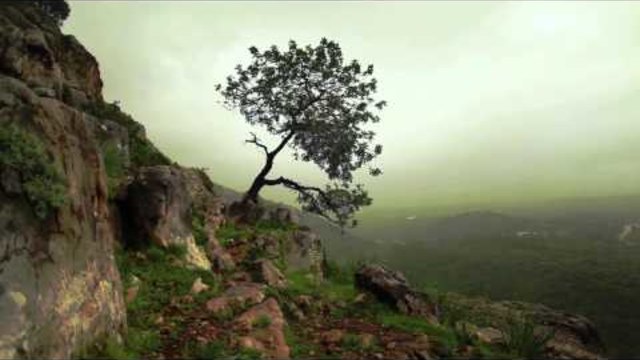 Честит Ден на Земята! (22.04.2014) - НЕКА ПАЗИМ ОКОЛНАТА СРЕДА НА НАШАТА ПЛАНЕТА ! - Промо