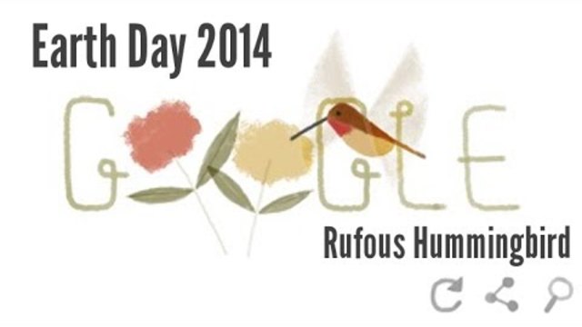 Earth Day 2014 with Rufous Hummingbird - Google Doodle (Гугъл празнува и отбелязва Световният ден на Земята с тема на Дадъл!)