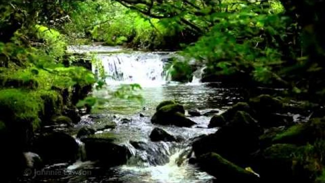 Relax-Nature Sounds-8 Hours-Waterfalls-Bird Songs-Sleep, Relaxation, Meditation and Study