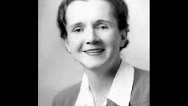 Рейчъл Карсън - 107-мата година от рождението на Рейчъл Карсън е темата на Google (Rachel Carson)