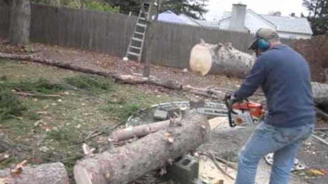 Човек си реже дърво и изведнъж се случва чудо!
