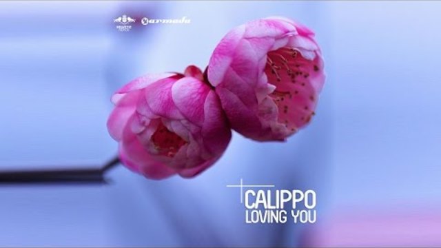 Calippo - Loving You (Radio Edit)