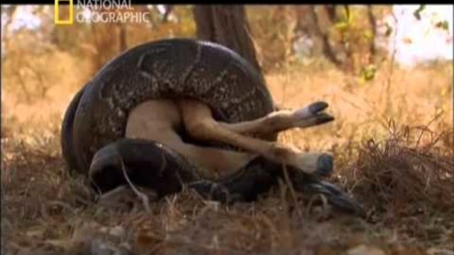 AFRİKADAKİ SERİ KATİLLER