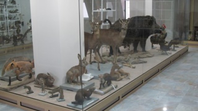 Уникален музей отвори врати в Русе