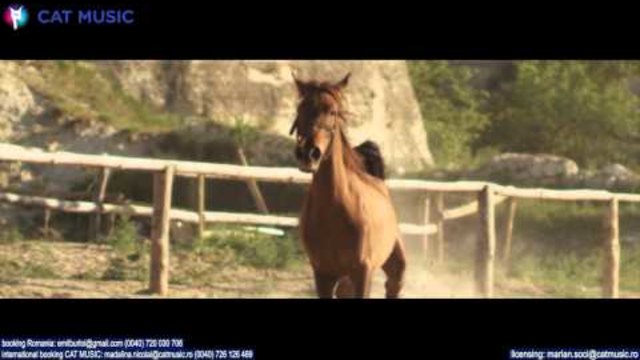 Andreea D - Magic Love :)