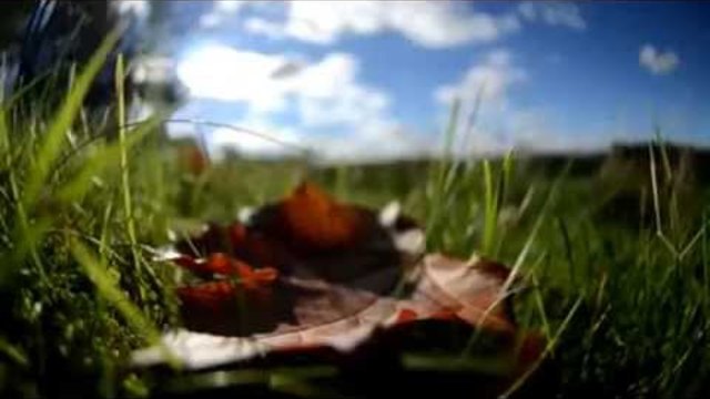 Richard Clayderman - Autumn Leaves