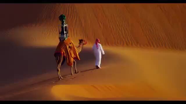 Google монтира камера на камила за разходка сред пустинята
