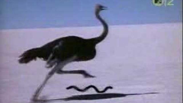 Talk Talk - It´s My Life