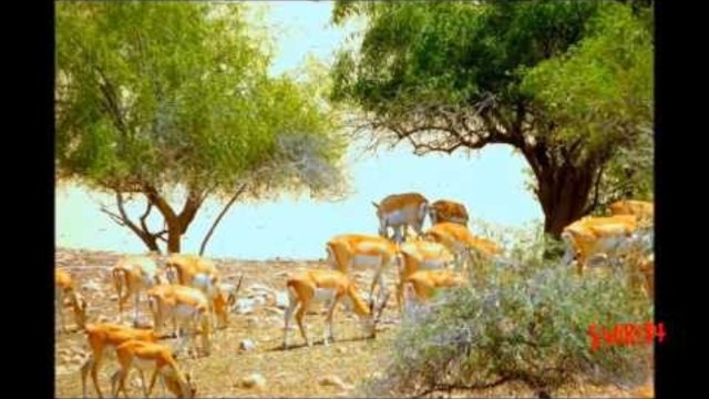 KARAKORUM PAKISTAN - CHINA HWAY  -  2014/ Красота/