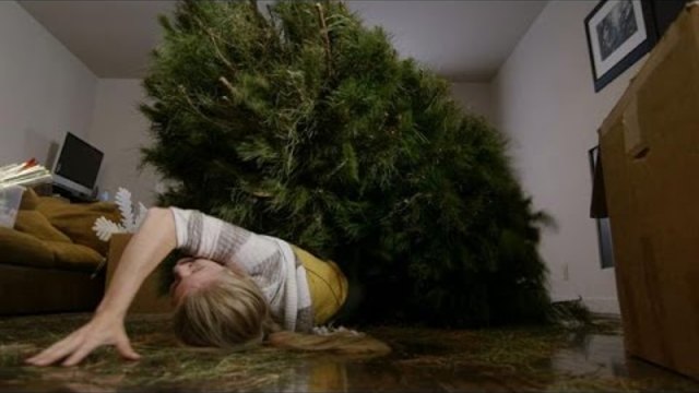 Don't Decorate Your Tree by Yourself. Here's Why!