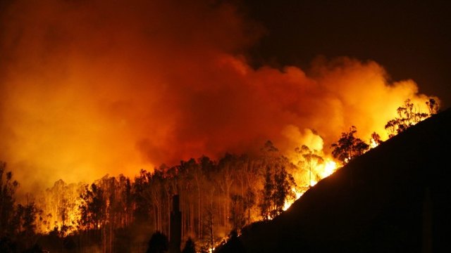 Стихия от горски пожари прогониха хиляди австралийци от домовете им