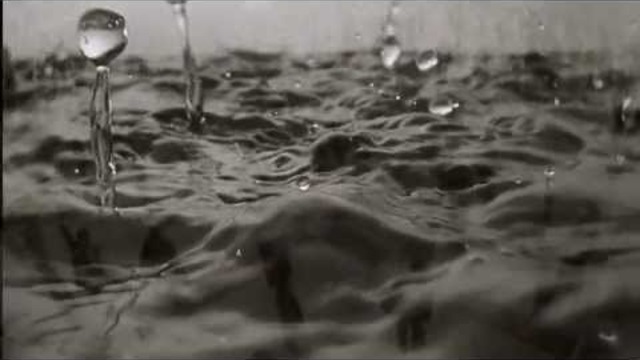 Психолози: Светът се ръководи от психопати! (5от6)