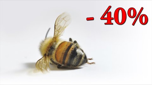 #142. Пчелите изчезват, а след тях и ние!