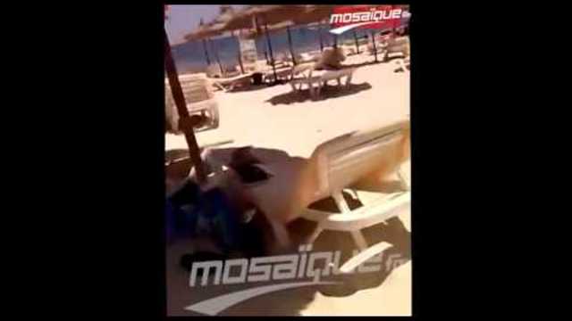 Турист е заснел касапницата на плажа! Вижте шокиращото видео /+18/