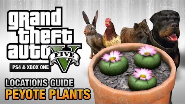 GTA 5 - Peyote Plants Location Guide (Play as an Animal)