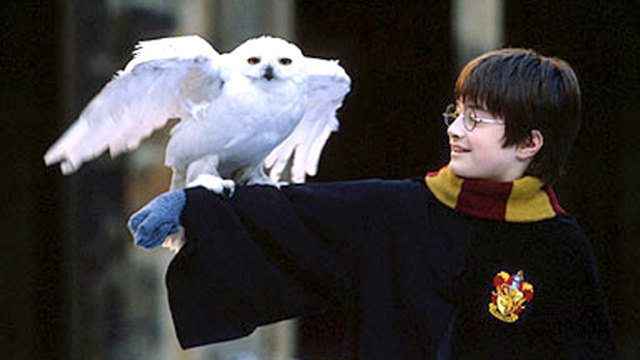 Неизвестни магически факти за Harry Potter