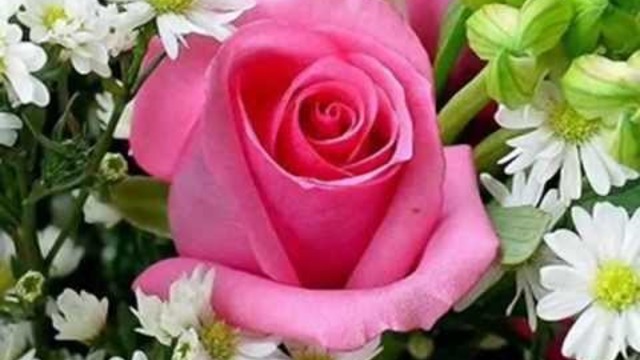 Емил Димитров-Ако си дал