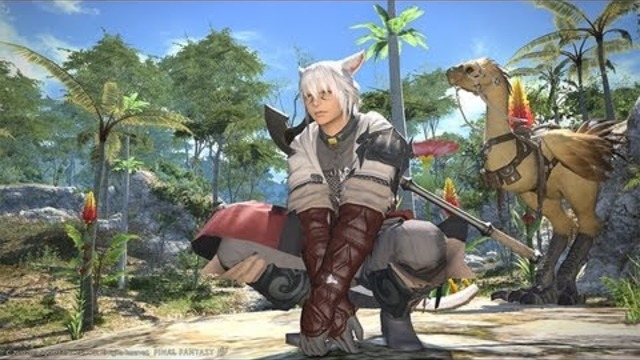 Final Fantasy XIV: A Realm Reborn Review