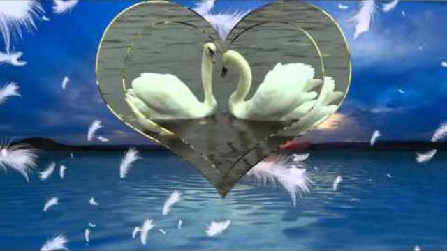 ТЫ СПРОСИ У ЛЕБЕДЯ -  Александр Келеберда, сл  Виктор Пурга